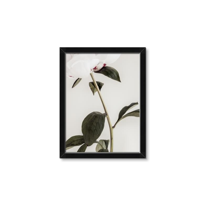Picture of Romantic Blur Peony II _GroupedProduct_Rectangle_Portrait_Photography _GroupedProduct_Rectangle_Portrait_Framed_Matted_