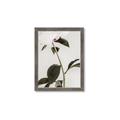 Picture of Romantic Blur Peony II _GroupedProduct_Rectangle_Portrait_Photography _GroupedProduct_Rectangle_Portrait_Framed_Matted_
