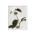 Picture of Romantic Blur Peony II _GroupedProduct_Rectangle_Portrait_Photography _GroupedProduct_Rectangle_Portrait_Framed_Matted_