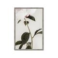 Picture of Romantic Blur Peony II _GroupedProduct_Rectangle_Portrait_Photography _GroupedProduct_Rectangle_Portrait_Framed_Matted_
