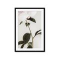 Picture of Romantic Blur Peony II _GroupedProduct_Rectangle_Portrait_Photography _GroupedProduct_Rectangle_Portrait_Framed_Matted_