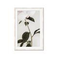 Picture of Romantic Blur Peony II _GroupedProduct_Rectangle_Portrait_Photography _GroupedProduct_Rectangle_Portrait_Framed_Matted_