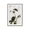 Picture of Romantic Blur Peony II _GroupedProduct_Rectangle_Portrait_Photography _GroupedProduct_Rectangle_Portrait_Framed_Matted_