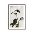 Picture of Romantic Blur Peony II _GroupedProduct_Rectangle_Portrait_Photography _GroupedProduct_Rectangle_Portrait_Framed_Matted_