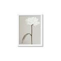 Picture of Romantic Blur Peony I _GroupedProduct_Rectangle_Portrait_Photography _GroupedProduct_Rectangle_Portrait_Framed_Matted_