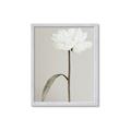 Picture of Romantic Blur Peony I _GroupedProduct_Rectangle_Portrait_Photography _GroupedProduct_Rectangle_Portrait_Framed_Matted_