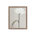 Picture of Romantic Blur Peony I _GroupedProduct_Rectangle_Portrait_Photography _GroupedProduct_Rectangle_Portrait_Framed_Matted_