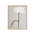 Picture of Romantic Blur Peony I _GroupedProduct_Rectangle_Portrait_Photography _GroupedProduct_Rectangle_Portrait_Framed_Matted_