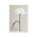 Picture of Romantic Blur Peony I _GroupedProduct_Rectangle_Portrait_Photography _GroupedProduct_Rectangle_Portrait_Framed_Matted_