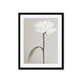 Picture of Romantic Blur Peony I _GroupedProduct_Rectangle_Portrait_Photography _GroupedProduct_Rectangle_Portrait_Framed_Matted_