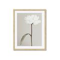 Picture of Romantic Blur Peony I _GroupedProduct_Rectangle_Portrait_Photography _GroupedProduct_Rectangle_Portrait_Framed_Matted_