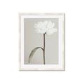 Picture of Romantic Blur Peony I _GroupedProduct_Rectangle_Portrait_Photography _GroupedProduct_Rectangle_Portrait_Framed_Matted_