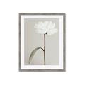 Picture of Romantic Blur Peony I _GroupedProduct_Rectangle_Portrait_Photography _GroupedProduct_Rectangle_Portrait_Framed_Matted_