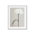 Picture of Romantic Blur Peony I _GroupedProduct_Rectangle_Portrait_Photography _GroupedProduct_Rectangle_Portrait_Framed_Matted_