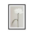 Picture of Romantic Blur Peony I _GroupedProduct_Rectangle_Portrait_Photography _GroupedProduct_Rectangle_Portrait_Framed_Matted_