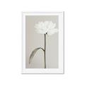 Picture of Romantic Blur Peony I _GroupedProduct_Rectangle_Portrait_Photography _GroupedProduct_Rectangle_Portrait_Framed_Matted_
