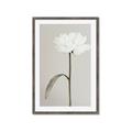 Picture of Romantic Blur Peony I _GroupedProduct_Rectangle_Portrait_Photography _GroupedProduct_Rectangle_Portrait_Framed_Matted_