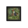 Picture of Tropical Paradise Toucan Bird _GroupedProduct_Square_Framed_Matted_