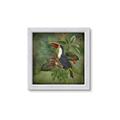 Picture of Tropical Paradise Toucan Bird _GroupedProduct_Square_Framed_Matted_