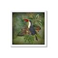 Picture of Tropical Paradise Toucan Bird _GroupedProduct_Square_Framed_Matted_