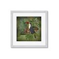 Picture of Tropical Paradise Toucan Bird _GroupedProduct_Square_Framed_Matted_
