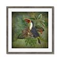 Picture of Tropical Paradise Toucan Bird _GroupedProduct_Square_Framed_Matted_