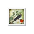 Picture of Tropical Paradise Birds Garden _GroupedProduct_Square_Framed_Matted_
