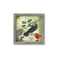 Picture of Tropical Paradise Birds Garden _GroupedProduct_Square_Framed_Matted_
