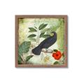 Picture of Tropical Paradise Birds Garden _GroupedProduct_Square_Framed_Matted_