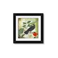 Picture of Tropical Paradise Birds Garden _GroupedProduct_Square_Framed_Matted_