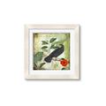 Picture of Tropical Paradise Birds Garden _GroupedProduct_Square_Framed_Matted_