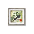 Picture of Tropical Paradise Birds Garden _GroupedProduct_Square_Framed_Matted_