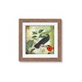 Picture of Tropical Paradise Birds Garden _GroupedProduct_Square_Framed_Matted_