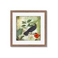 Picture of Tropical Paradise Birds Garden _GroupedProduct_Square_Framed_Matted_