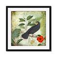 Picture of Tropical Paradise Birds Garden _GroupedProduct_Square_Framed_Matted_