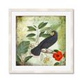 Picture of Tropical Paradise Birds Garden _GroupedProduct_Square_Framed_Matted_