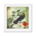 Picture of Tropical Paradise Birds Garden _GroupedProduct_Square_Framed_Matted_