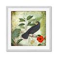 Picture of Tropical Paradise Birds Garden _GroupedProduct_Square_Framed_Matted_