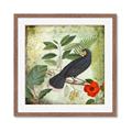 Picture of Tropical Paradise Birds Garden _GroupedProduct_Square_Framed_Matted_