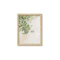 Picture of Few Olive Tree Leaves _GroupedProduct_Rectangle_Portrait_Photography _GroupedProduct_Rectangle_Portrait_Framed_Matted_