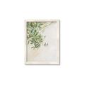 Picture of Few Olive Tree Leaves _GroupedProduct_Rectangle_Portrait_Photography _GroupedProduct_Rectangle_Portrait_Framed_Matted_