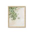 Picture of Few Olive Tree Leaves _GroupedProduct_Rectangle_Portrait_Photography _GroupedProduct_Rectangle_Portrait_Framed_Matted_