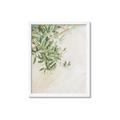 Picture of Few Olive Tree Leaves _GroupedProduct_Rectangle_Portrait_Photography _GroupedProduct_Rectangle_Portrait_Framed_Matted_