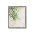 Picture of Few Olive Tree Leaves _GroupedProduct_Rectangle_Portrait_Photography _GroupedProduct_Rectangle_Portrait_Framed_Matted_