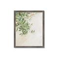 Picture of Few Olive Tree Leaves _GroupedProduct_Rectangle_Portrait_Photography _GroupedProduct_Rectangle_Portrait_Framed_Matted_