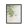 Picture of Few Olive Tree Leaves _GroupedProduct_Rectangle_Portrait_Photography _GroupedProduct_Rectangle_Portrait_Framed_Matted_