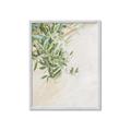 Picture of Few Olive Tree Leaves _GroupedProduct_Rectangle_Portrait_Photography _GroupedProduct_Rectangle_Portrait_Framed_Matted_