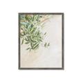 Picture of Few Olive Tree Leaves _GroupedProduct_Rectangle_Portrait_Photography _GroupedProduct_Rectangle_Portrait_Framed_Matted_
