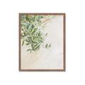 Picture of Few Olive Tree Leaves _GroupedProduct_Rectangle_Portrait_Photography _GroupedProduct_Rectangle_Portrait_Framed_Matted_