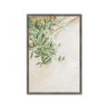 Picture of Few Olive Tree Leaves _GroupedProduct_Rectangle_Portrait_Photography _GroupedProduct_Rectangle_Portrait_Framed_Matted_